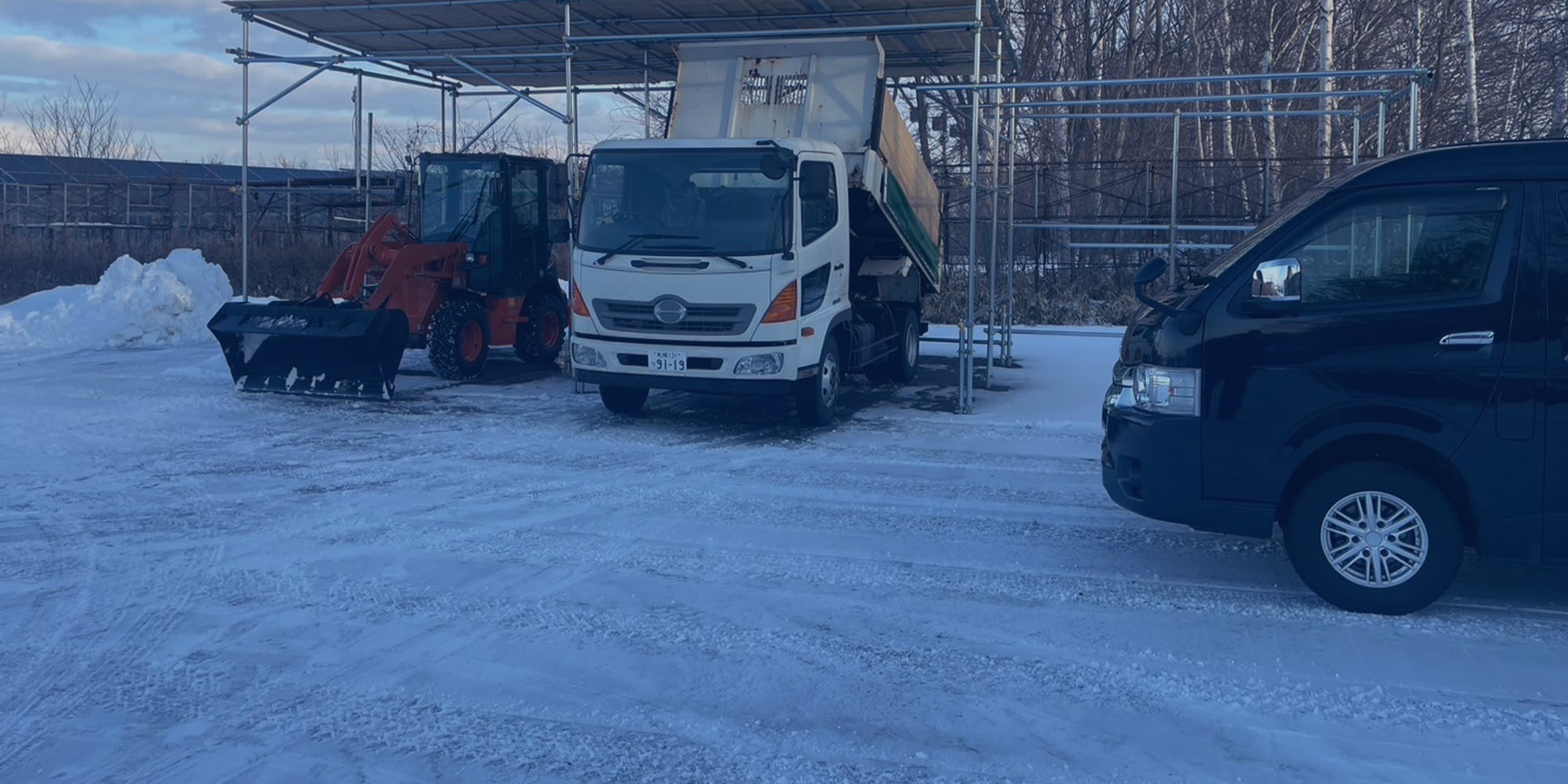 para_bg
